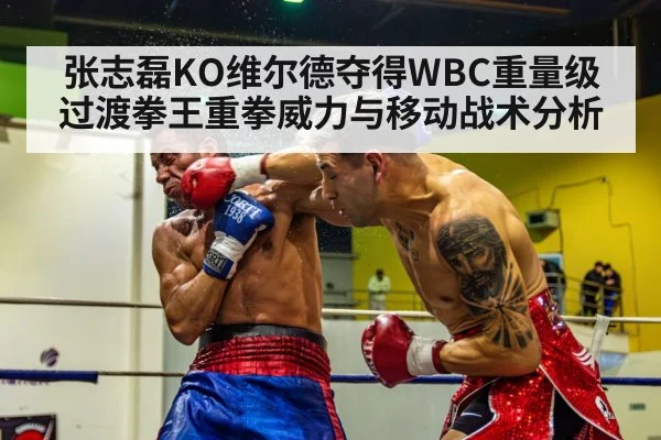 boxing knockout punch
